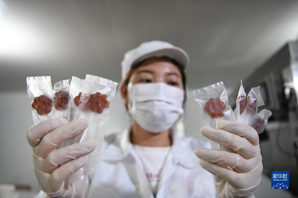 新濠汇影娱乐网址